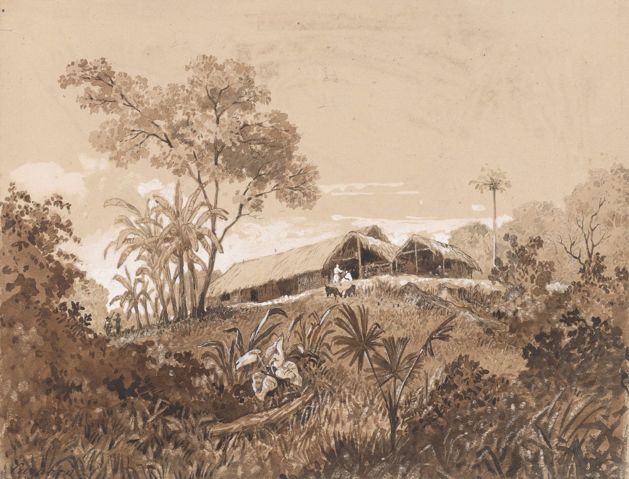 La cabaña, Monte Tamana de Michel Jean Cazabon
