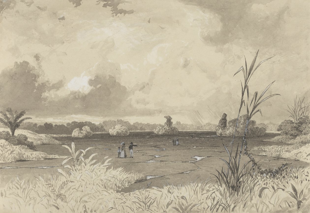 El lago de Pitch de Michel Jean Cazabon