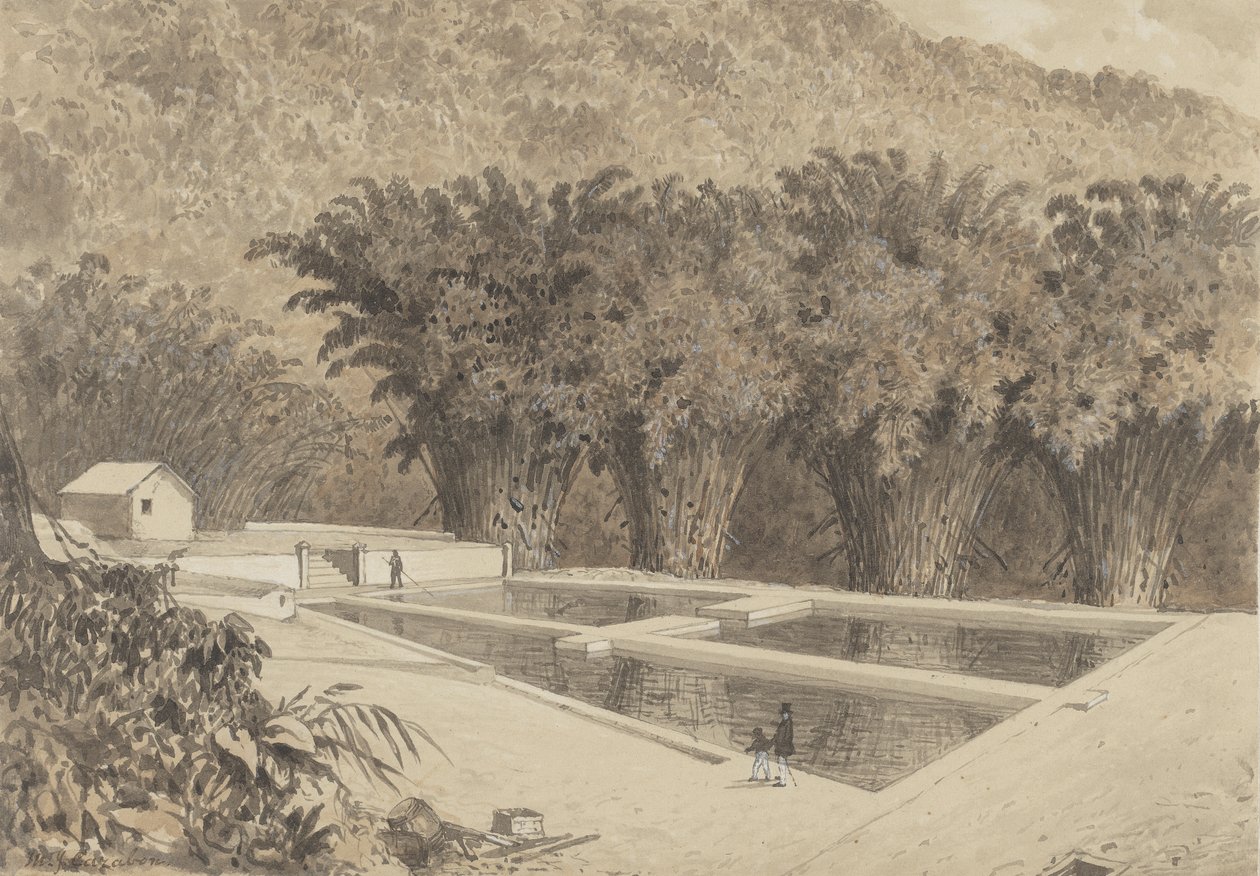 El embalse de Maraval de Michel Jean Cazabon