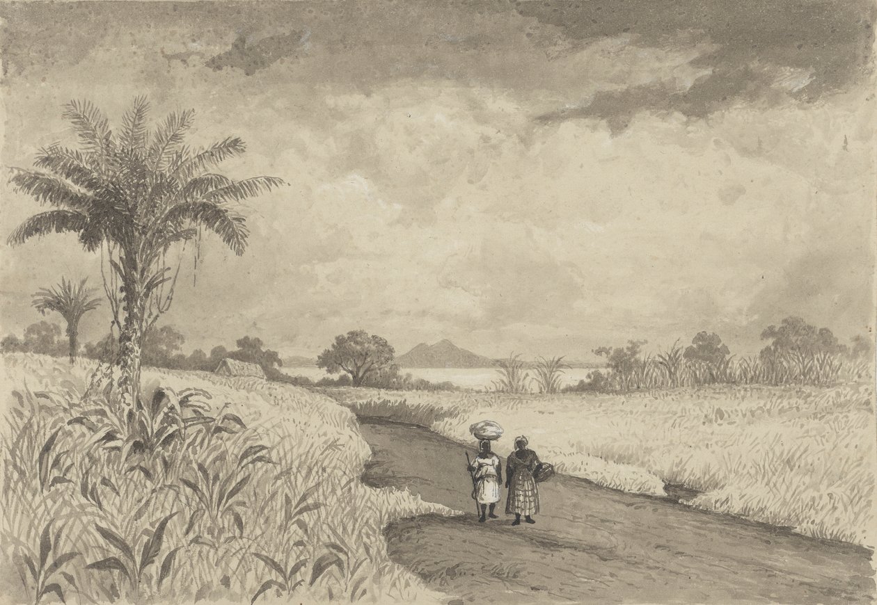 El camino hacia el lago Pitch de Michel Jean Cazabon