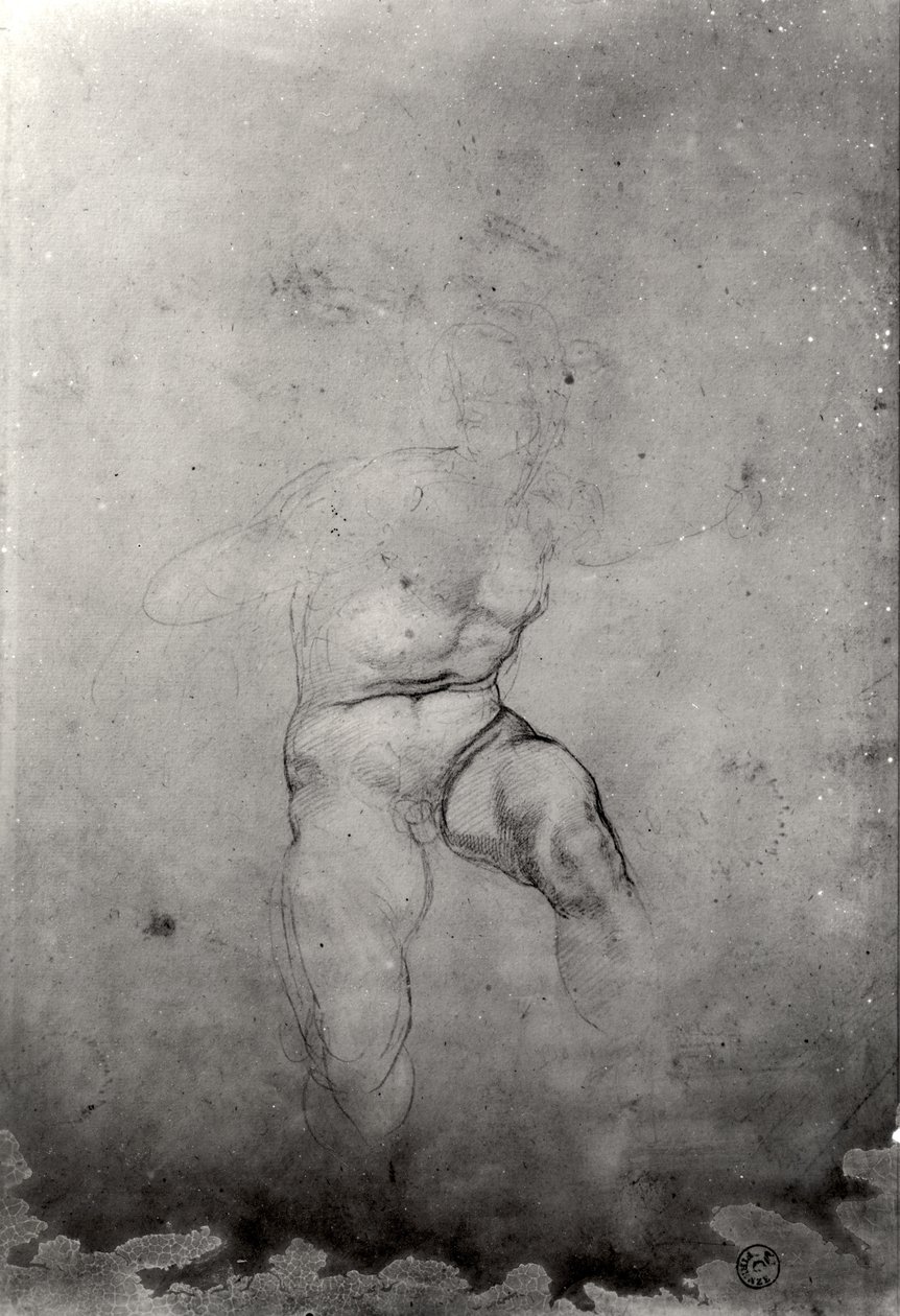 Desnudo masculino de Michelangelo Buonarroti
