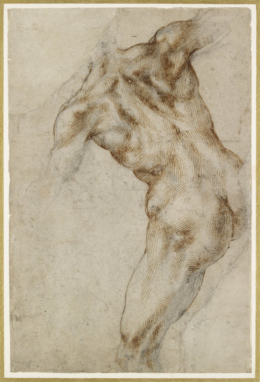 Torso masculino desnudo de Michelangelo Buonarroti