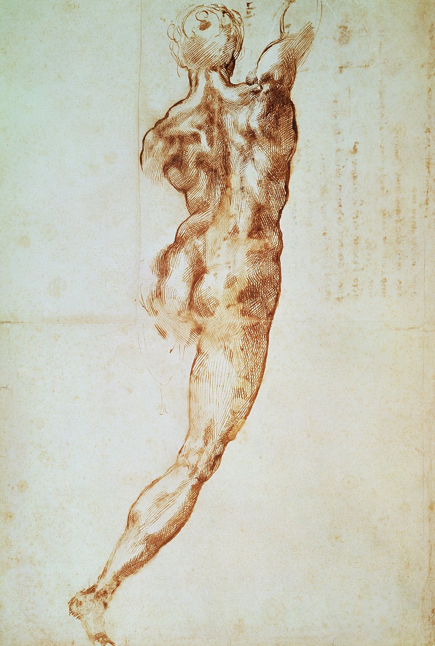 Desnudo, estudio para la Batalla de Cascina de Michelangelo Buonarroti