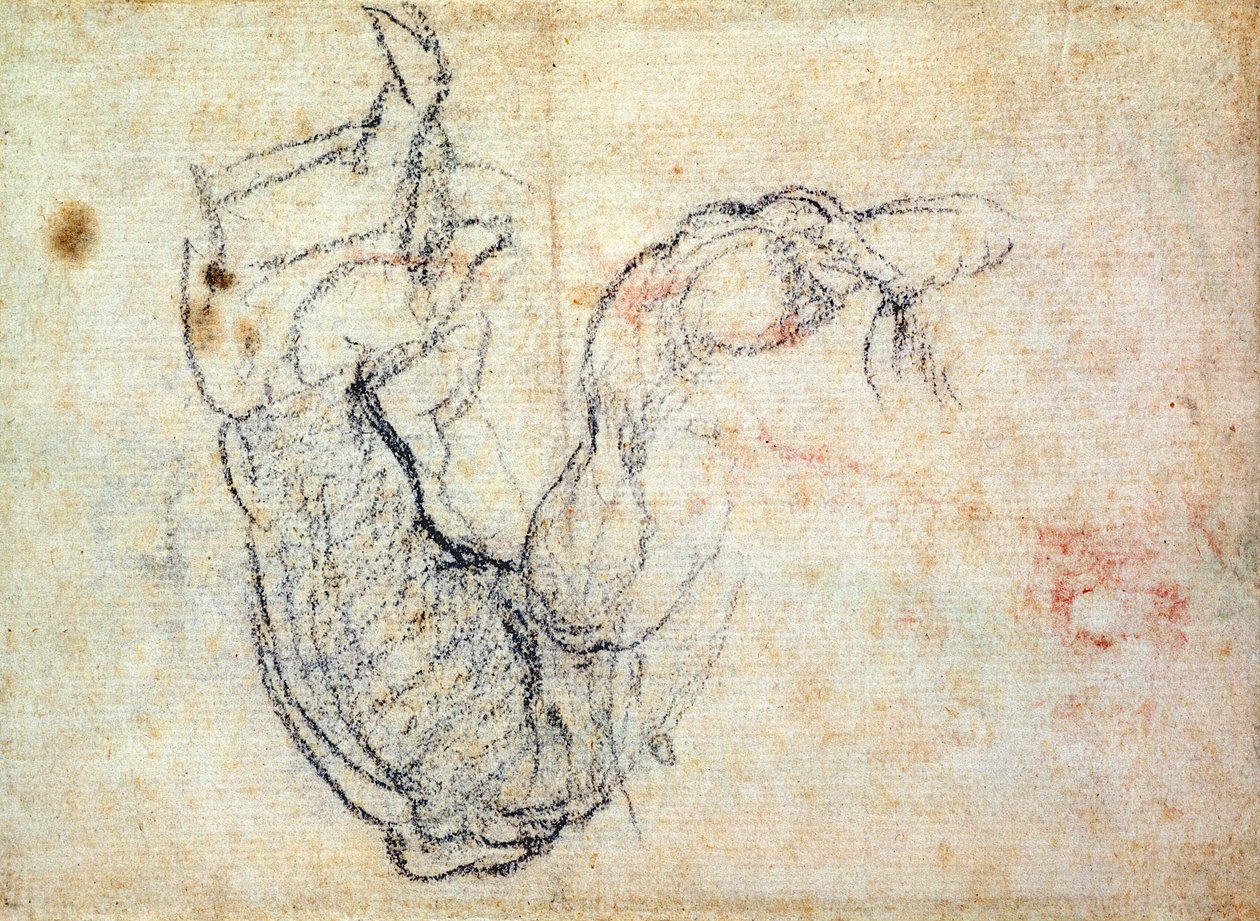 Estudio preparatorio para el brazo de Cristo en el Juicio Final, 1535-41 de Michelangelo Buonarroti