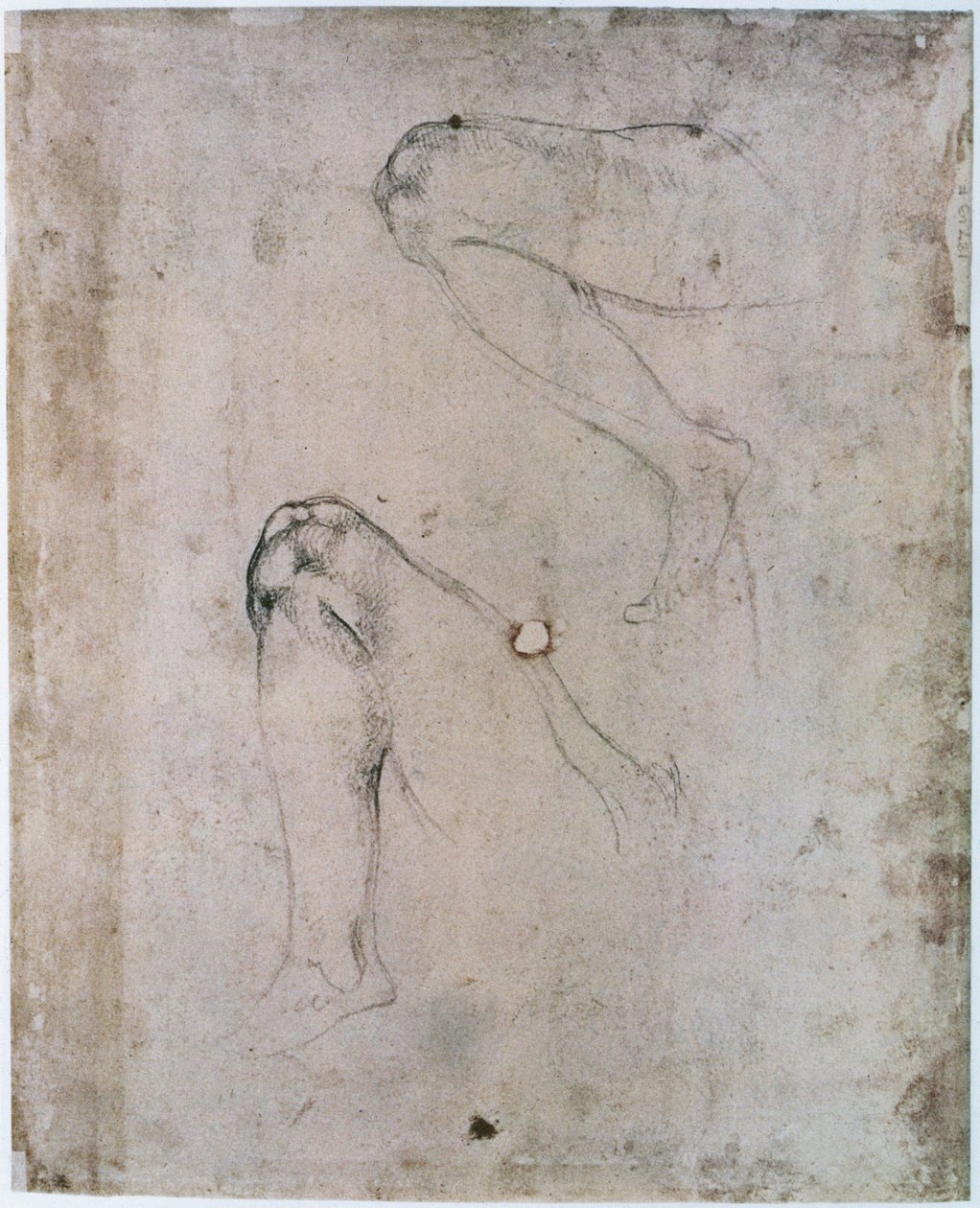 Techo de la Capilla Sixtina (1508-12): Dos bocetos de la pierna derecha de Eva de la escena del Pecado Original de Michelangelo Buonarroti