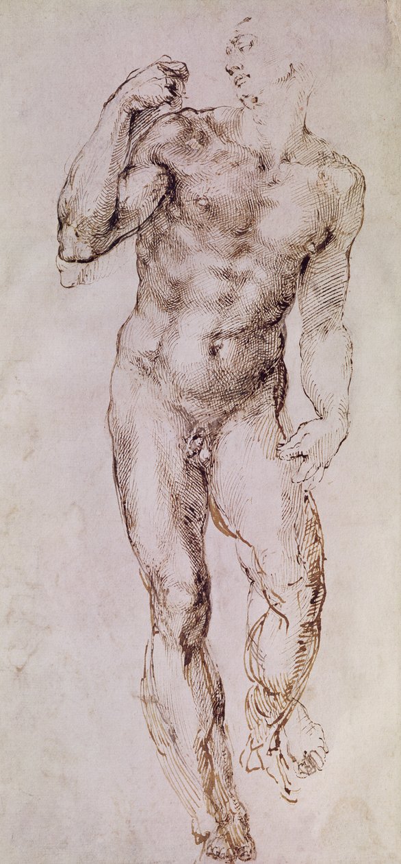 Boceto de David con su honda, 1503-4 de Michelangelo Buonarroti