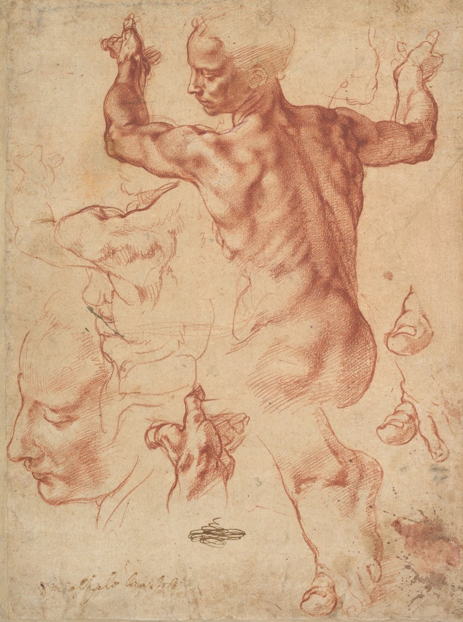 Estudios para la Sibila Líbica (recto), c.1510-11 de Michelangelo Buonarroti