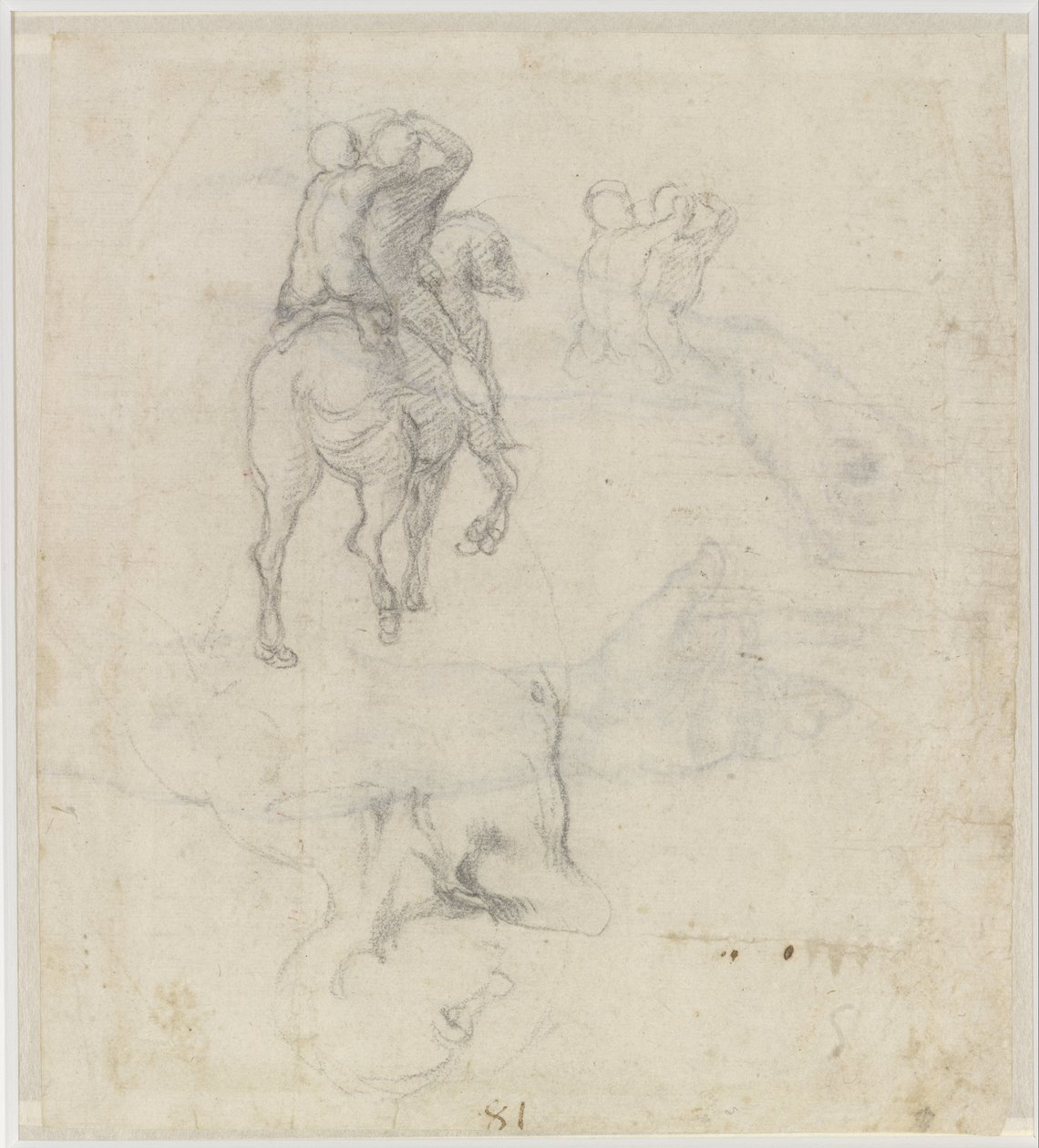Estudios de un caballo con dos jinetes desnudos y un torso masculino de Michelangelo Buonarroti