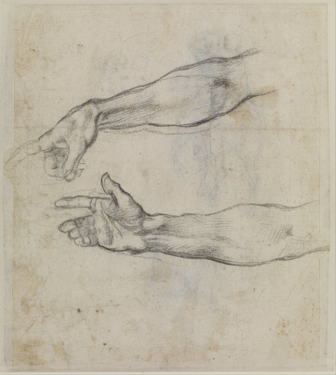 Estudios de un brazo extendido para el fresco La Borrachera de Noé en la Capilla Sixtina de Michelangelo Buonarroti