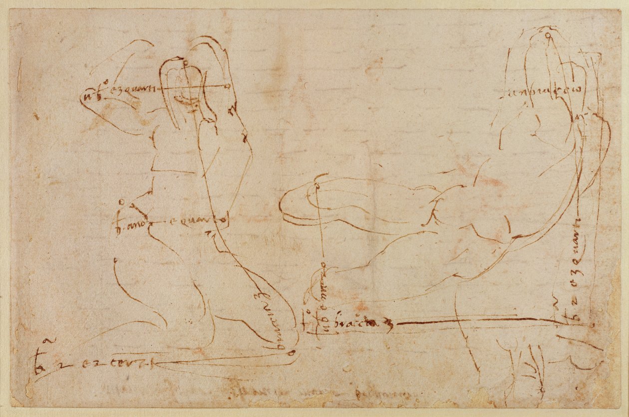 Estudio para el dios del río de Michelangelo Buonarroti