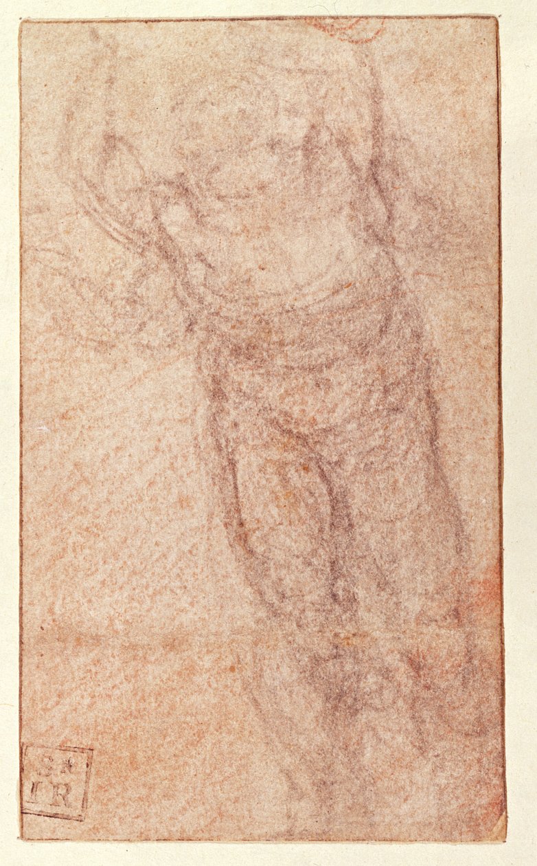 Estudio para 