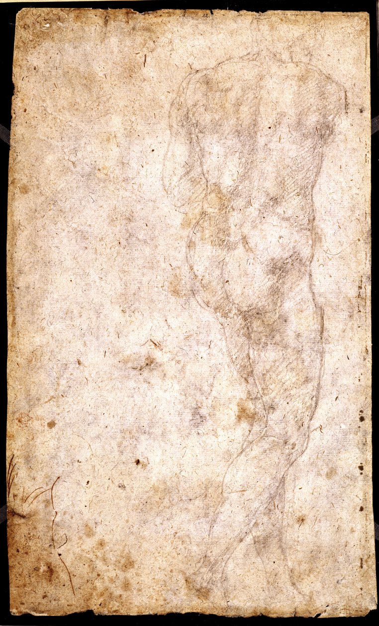 Estudio de un desnudo masculino de Michelangelo Buonarroti