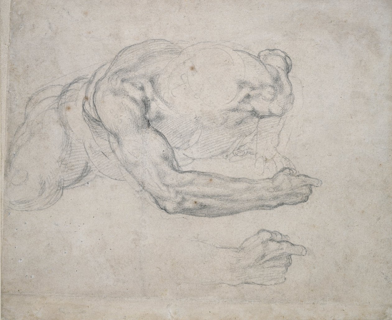 Estudio de un hombre levantándose del suelo de Michelangelo Buonarroti