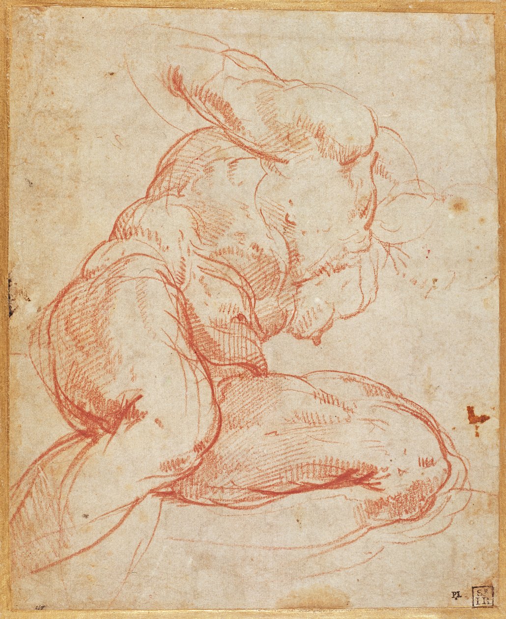 Estudio de un desnudo de Michelangelo Buonarroti