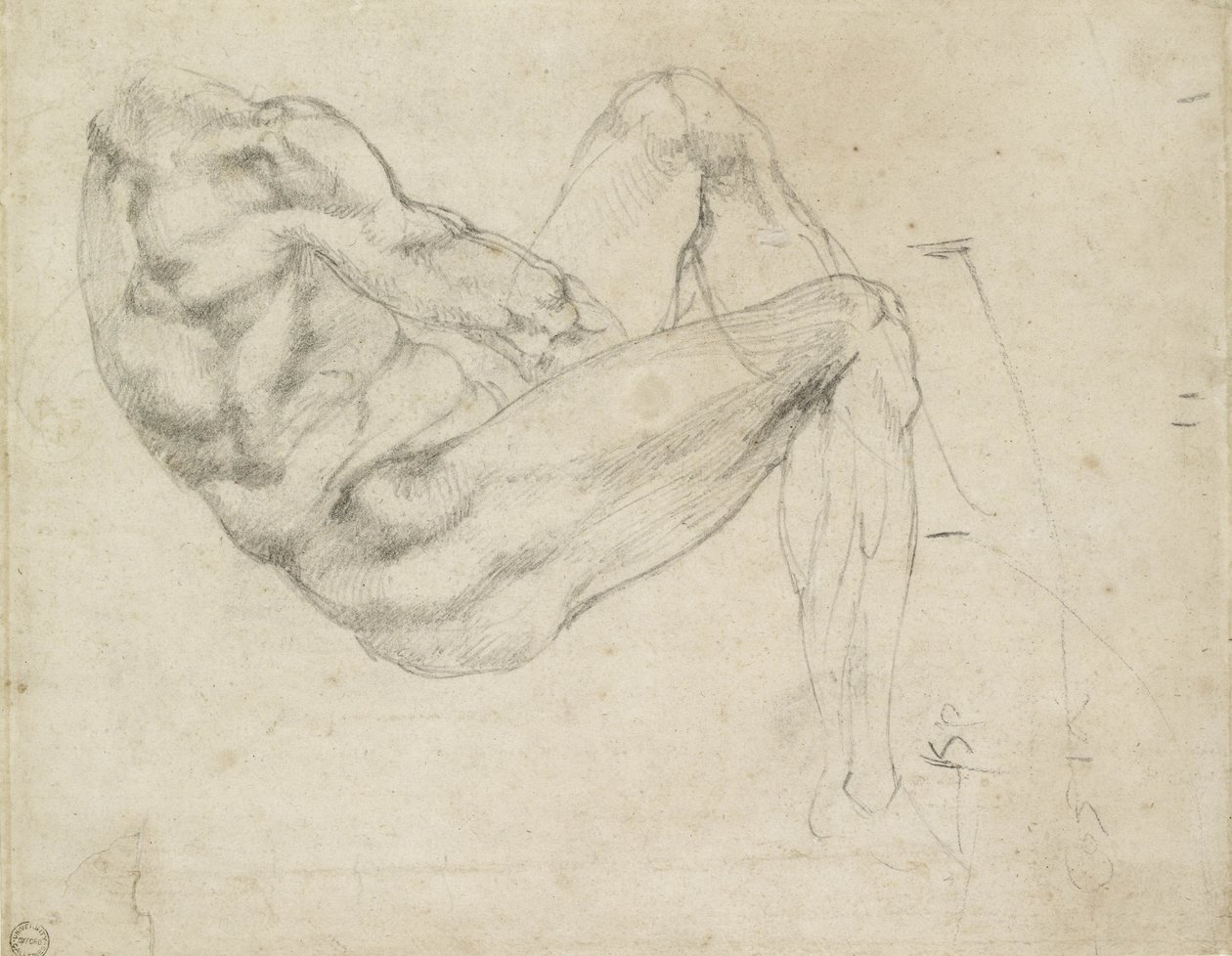 Estudio de una Figura Masculina Recostada, recto de Michelangelo Buonarroti