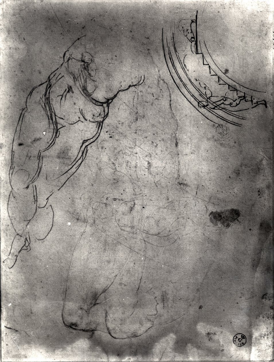 Estudio de un desnudo masculino de Michelangelo Buonarroti