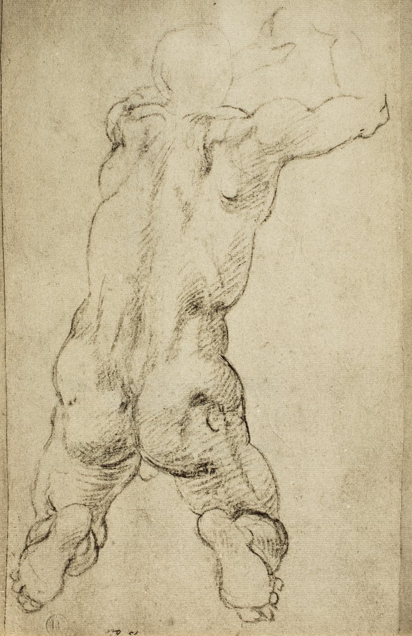 Estudio de una figura viril de Michelangelo Buonarroti
