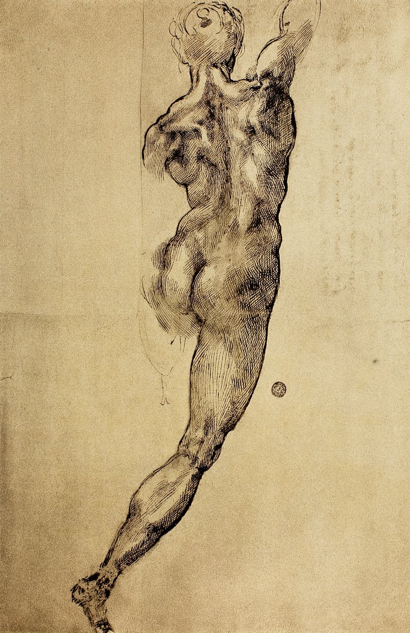 Estudio de una figura viril vista desde atrás de Michelangelo Buonarroti