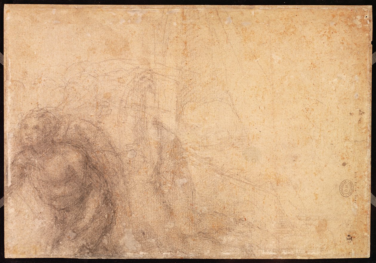 Estudio de un ángel de Michelangelo Buonarroti
