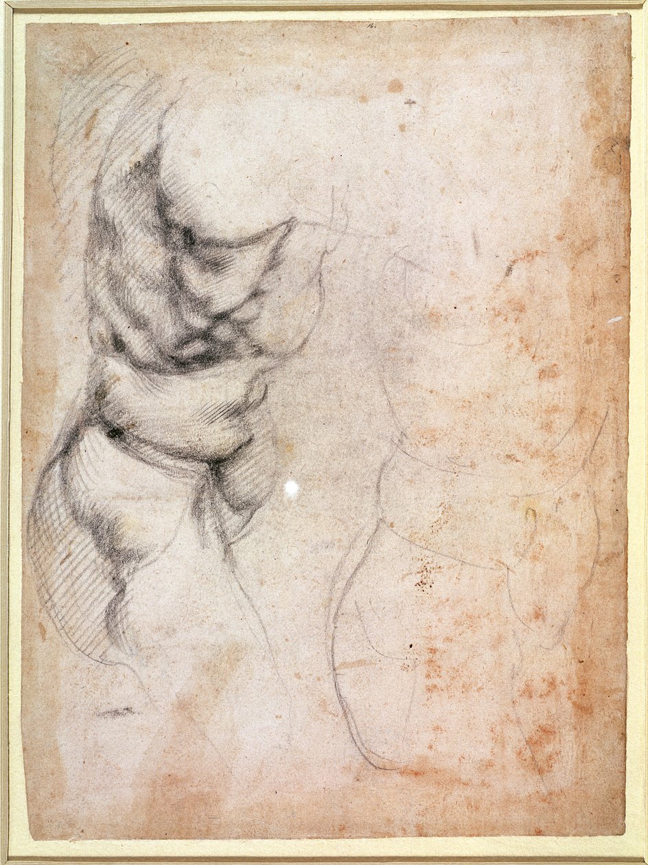 Estudio de torso y glúteo (carboncillo sobre papel) (recto) de Michelangelo Buonarroti