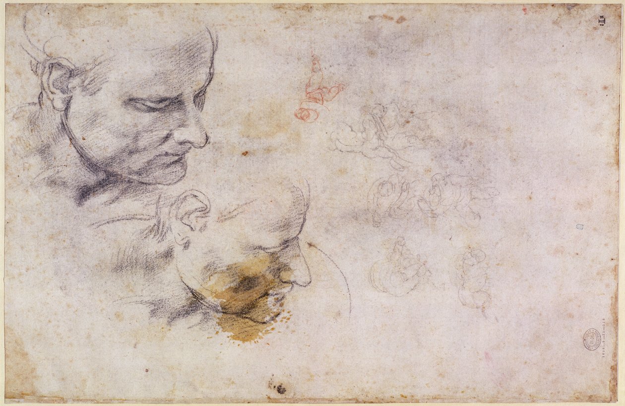 W.60 Boceto de una cabeza masculina, en dos posiciones de Michelangelo Buonarroti