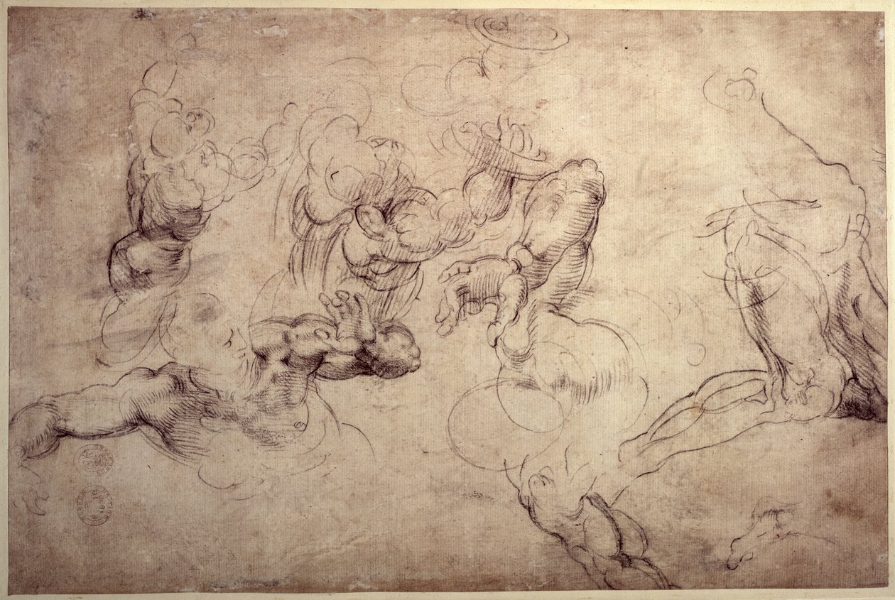 W.61v Estudios de figura masculina de Michelangelo Buonarroti