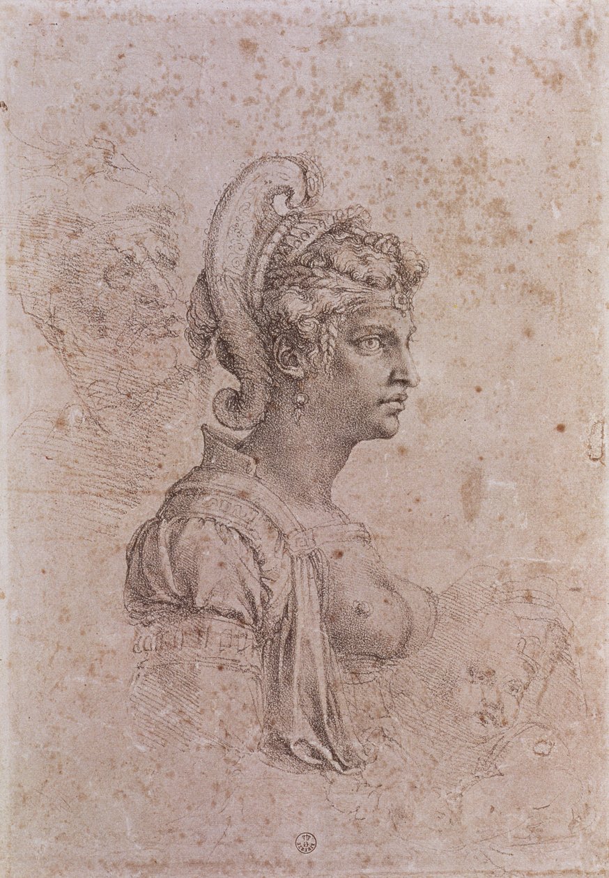 Zenobia, Reina de Palmira, Siria (siglo III d.C.) de Michelangelo Buonarroti