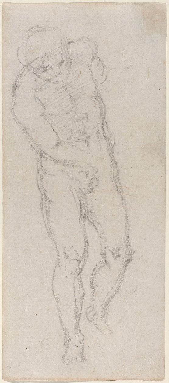 Desnudo Masculino (recto) de Michelangelo