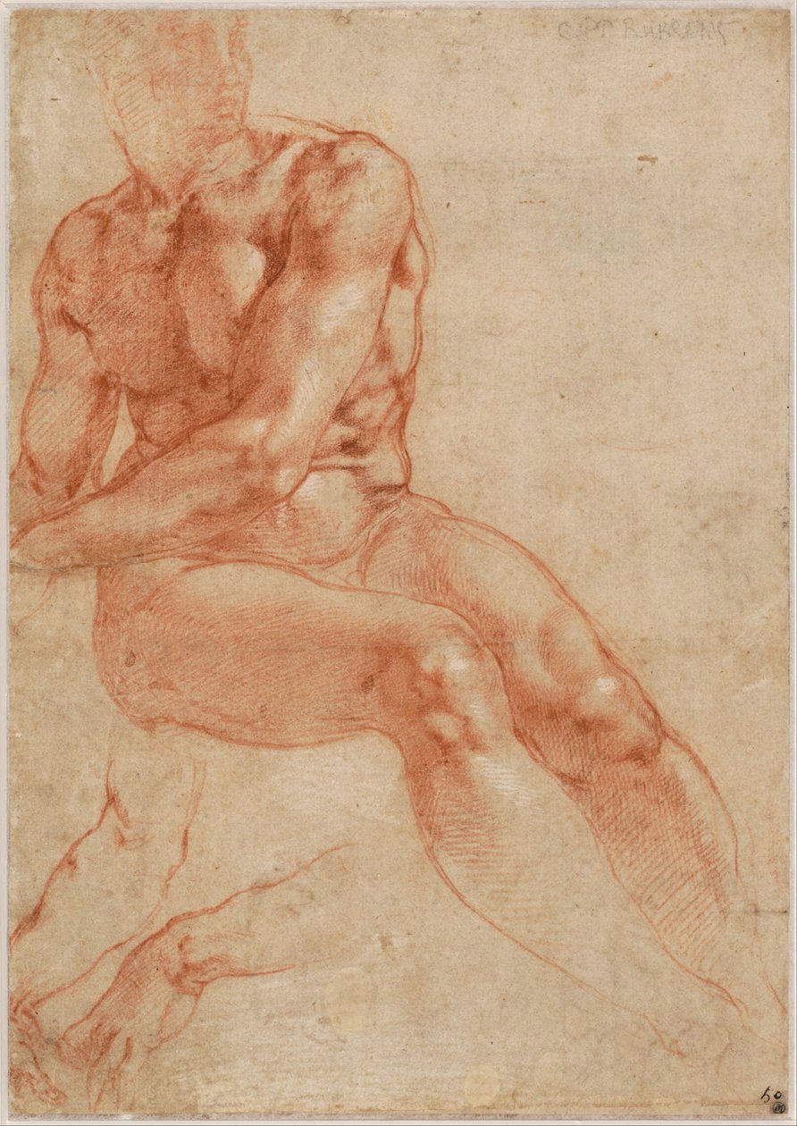 Desnudo masculino joven sentado y dos estudios de brazos (anverso), c. 1510-11 de Michelangelo