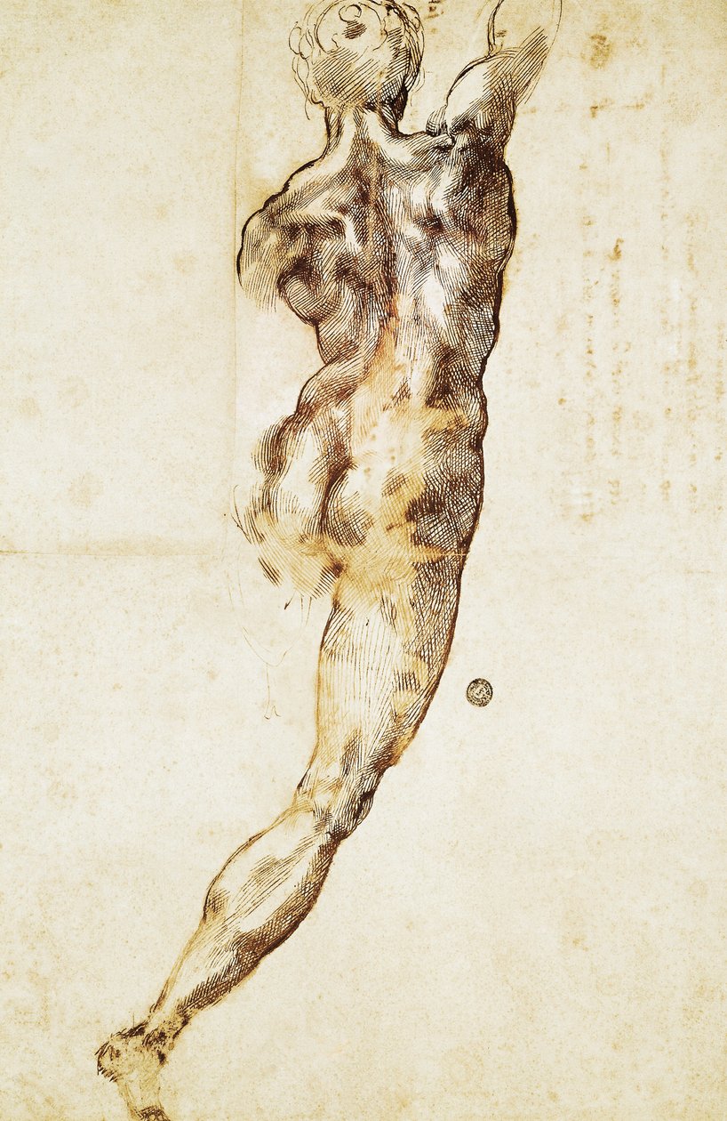 Un desnudo masculino visto desde atrás, estudio para la Batalla de Cascina, dibujo de Michelangelo Buonarroti