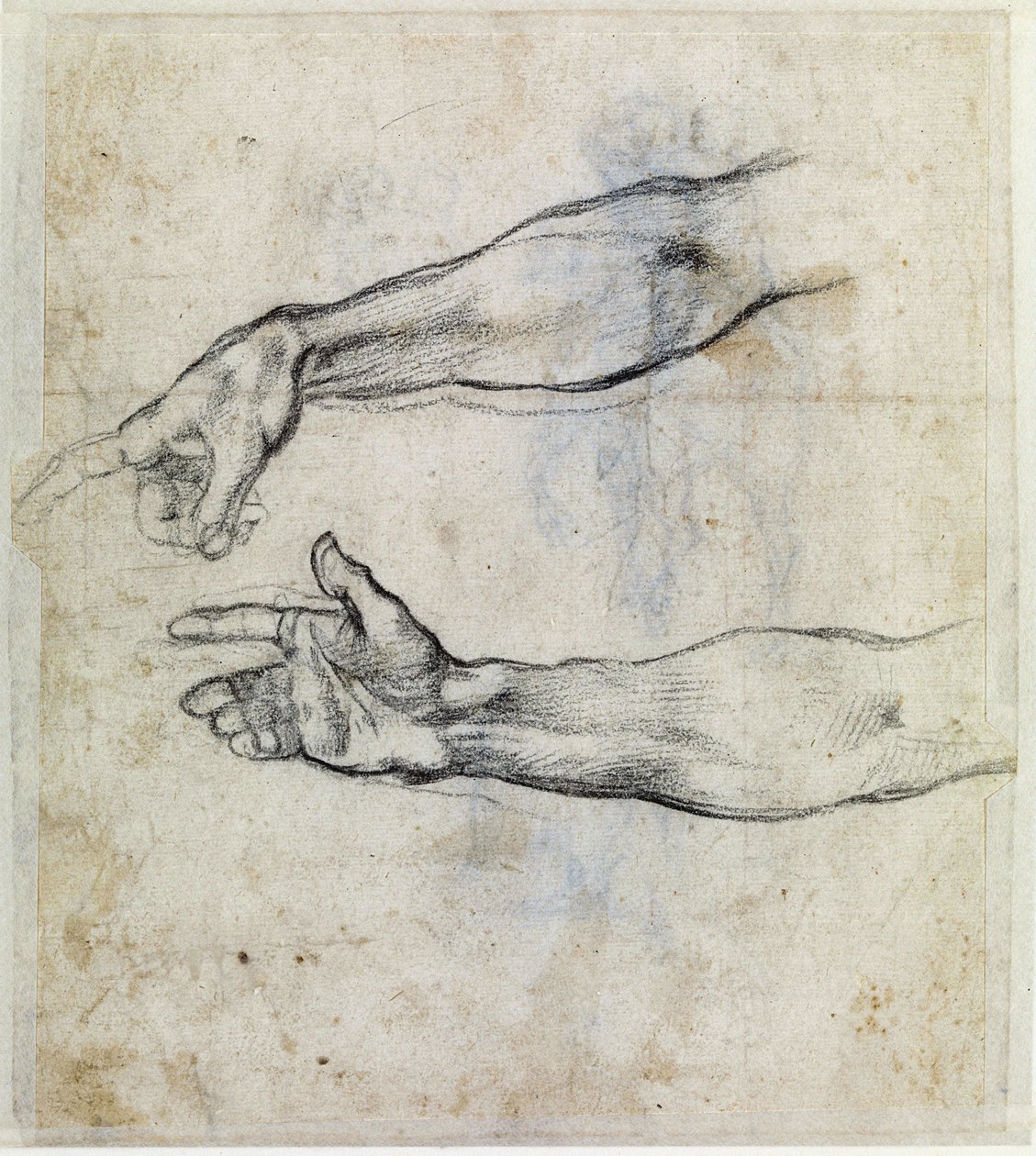  de Michelangelo Buonarroti