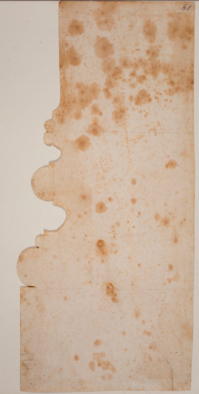Perfil de la base de la columna de la nueva sacristía de Michelangelo Buonarroti
