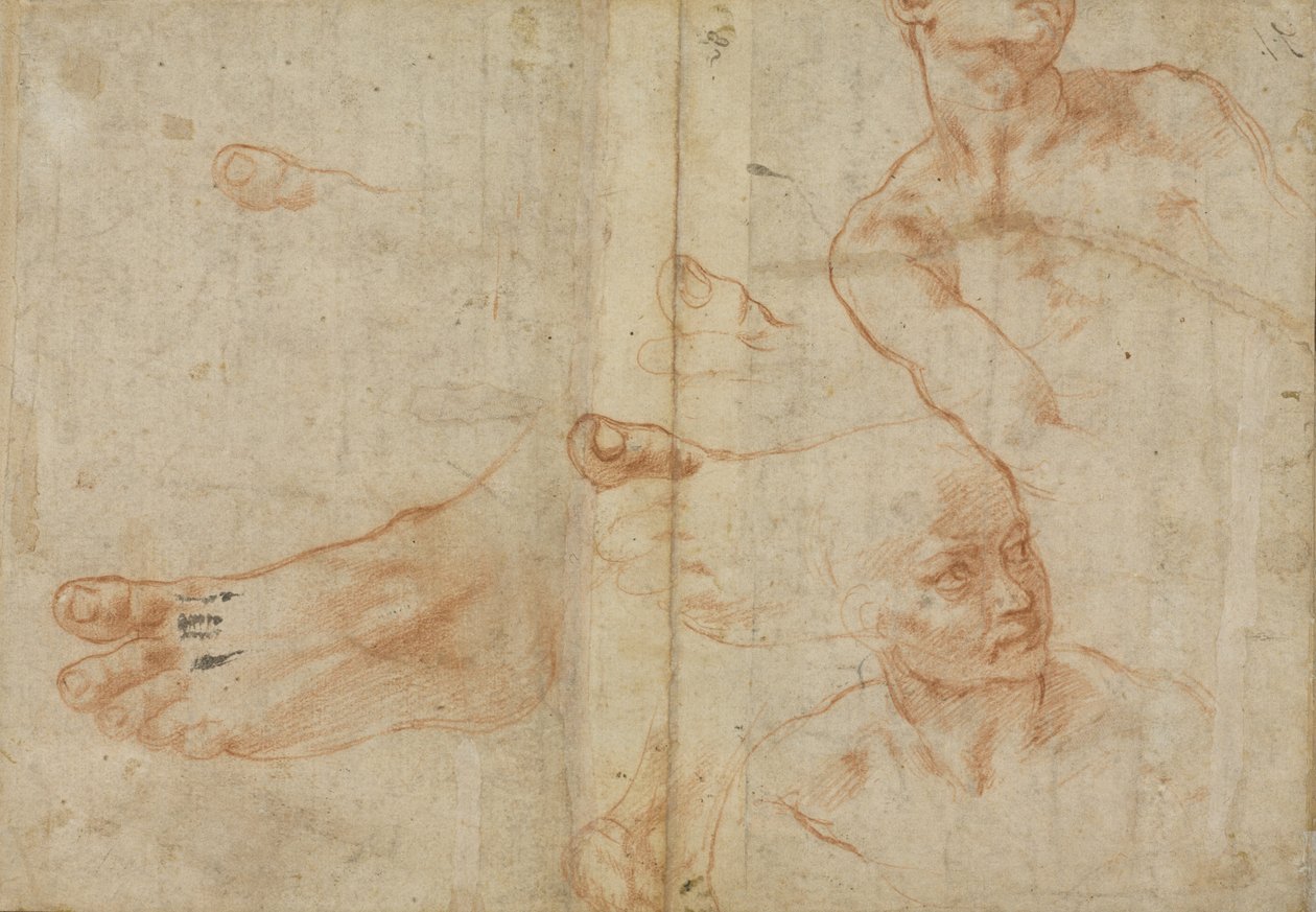 Estudios de figuras para el techo de la Capilla Sixtina de Michelangelo Buonarroti