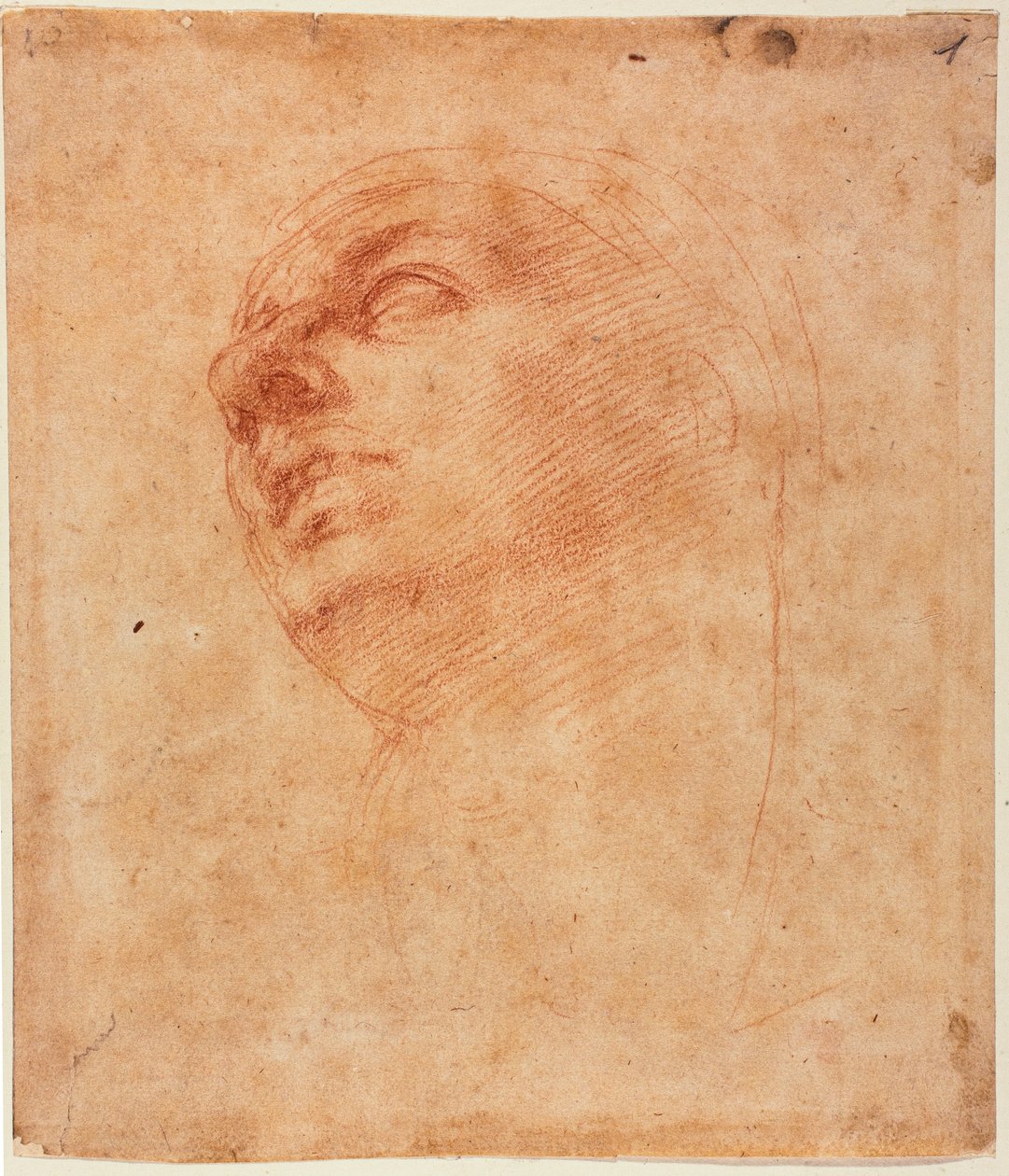 Estudio de la cabeza para la Sixtina Jonás de Michelangelo Buonarroti