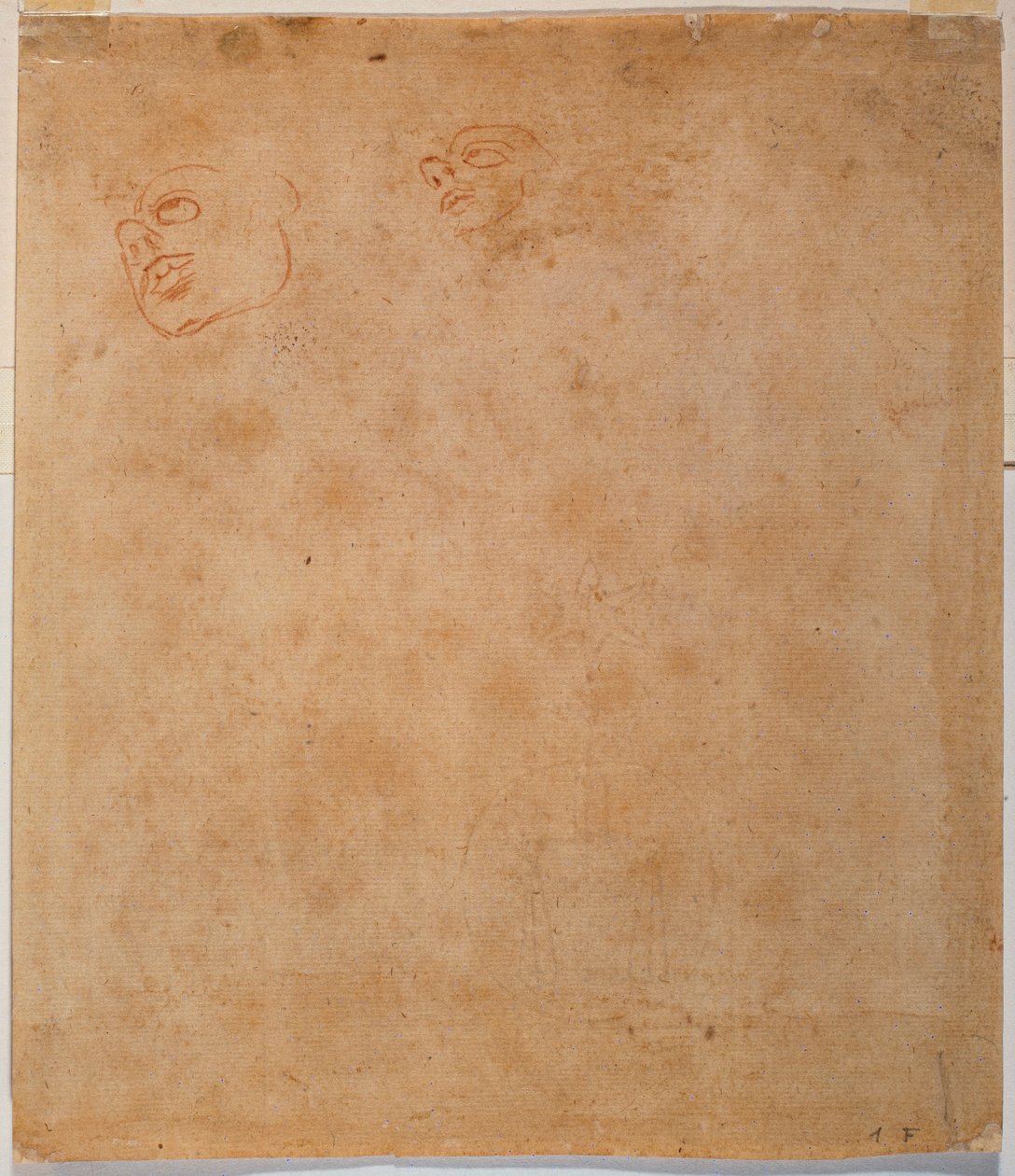Estudio de la cabeza para la Sixtina Jonás de Michelangelo Buonarroti