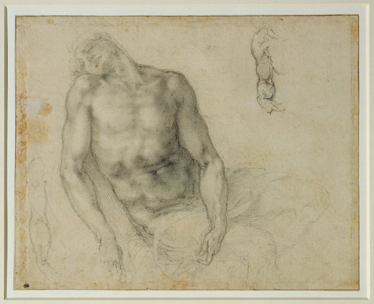 El Cristo muerto y dos repeticiones del brazo derecho ... de Michelangelo Buonarroti