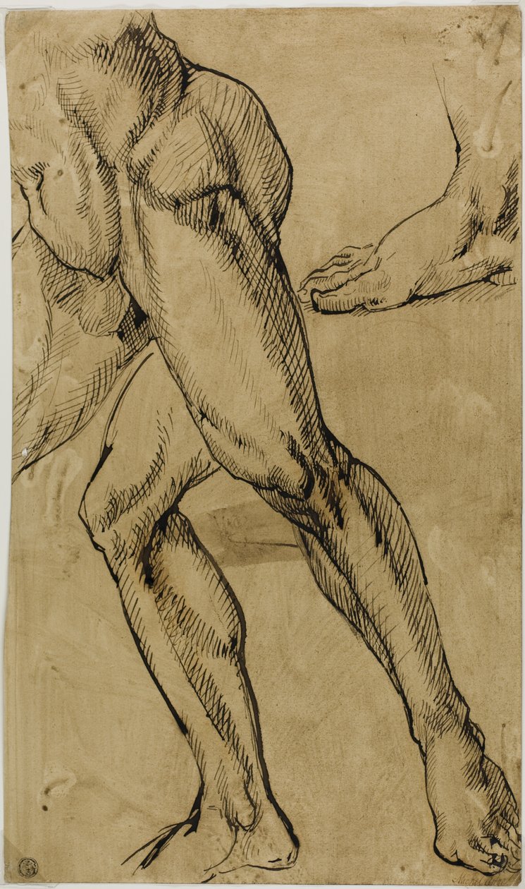 Piernas y pies de desnudo masculino de Michelangelo Buonarroti