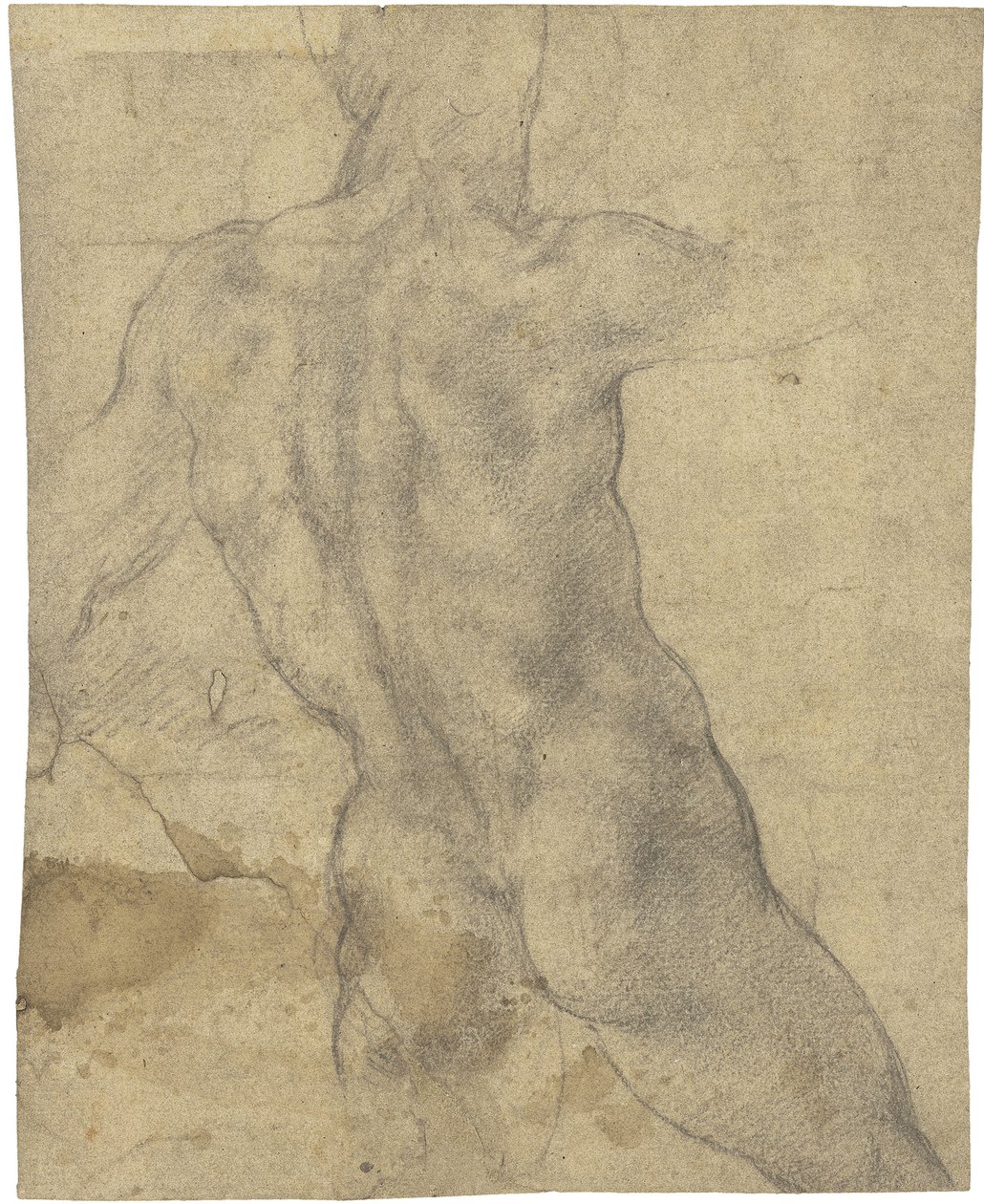 Desnudo masculino de Michelangelo Buonarroti