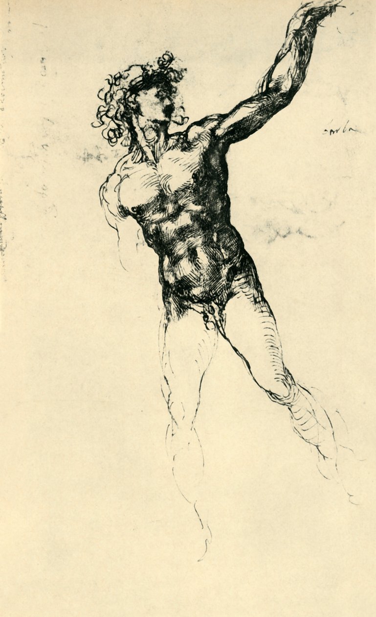 Desnudo masculino, 1503-1504, 1943 de Michelangelo Buonarroti