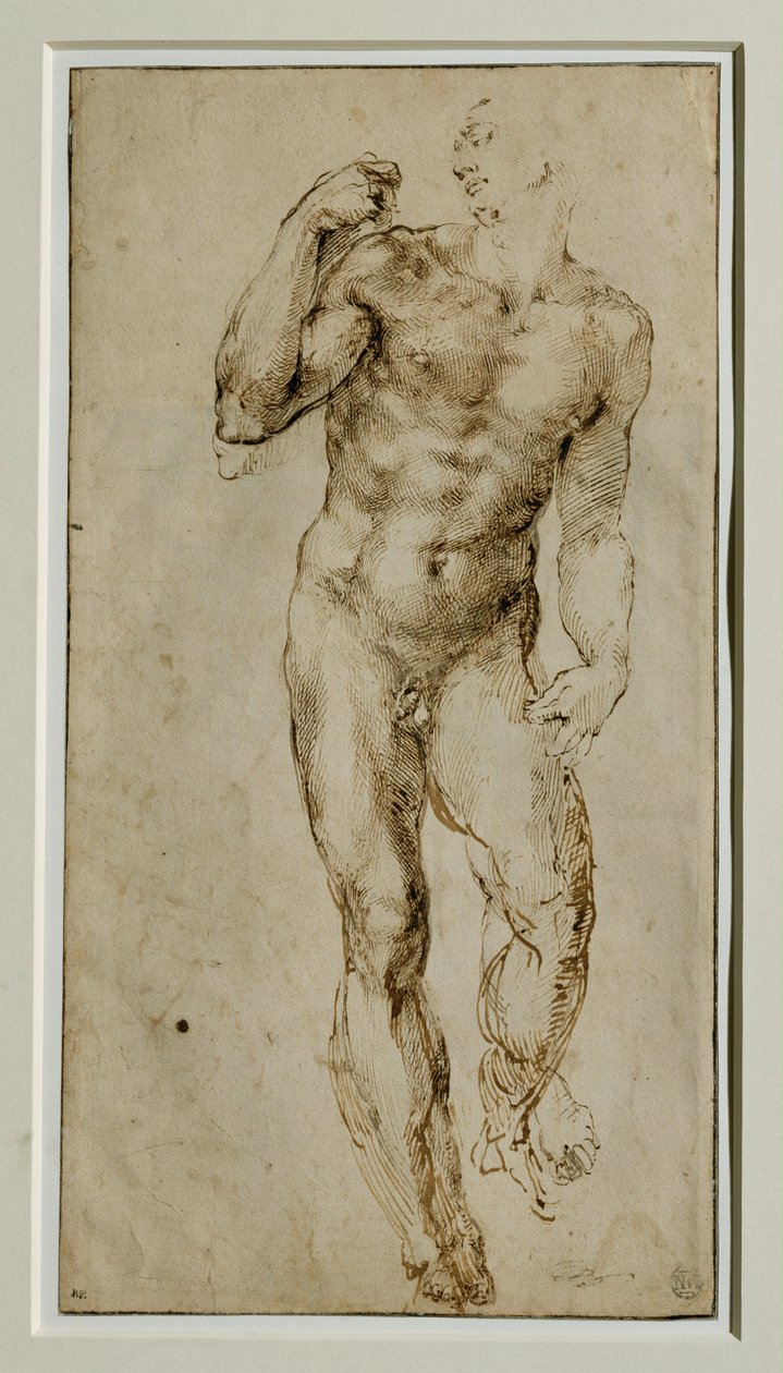 Desnudo masculino, vista frontal, circa 1502-1506 ... de Michelangelo Buonarroti