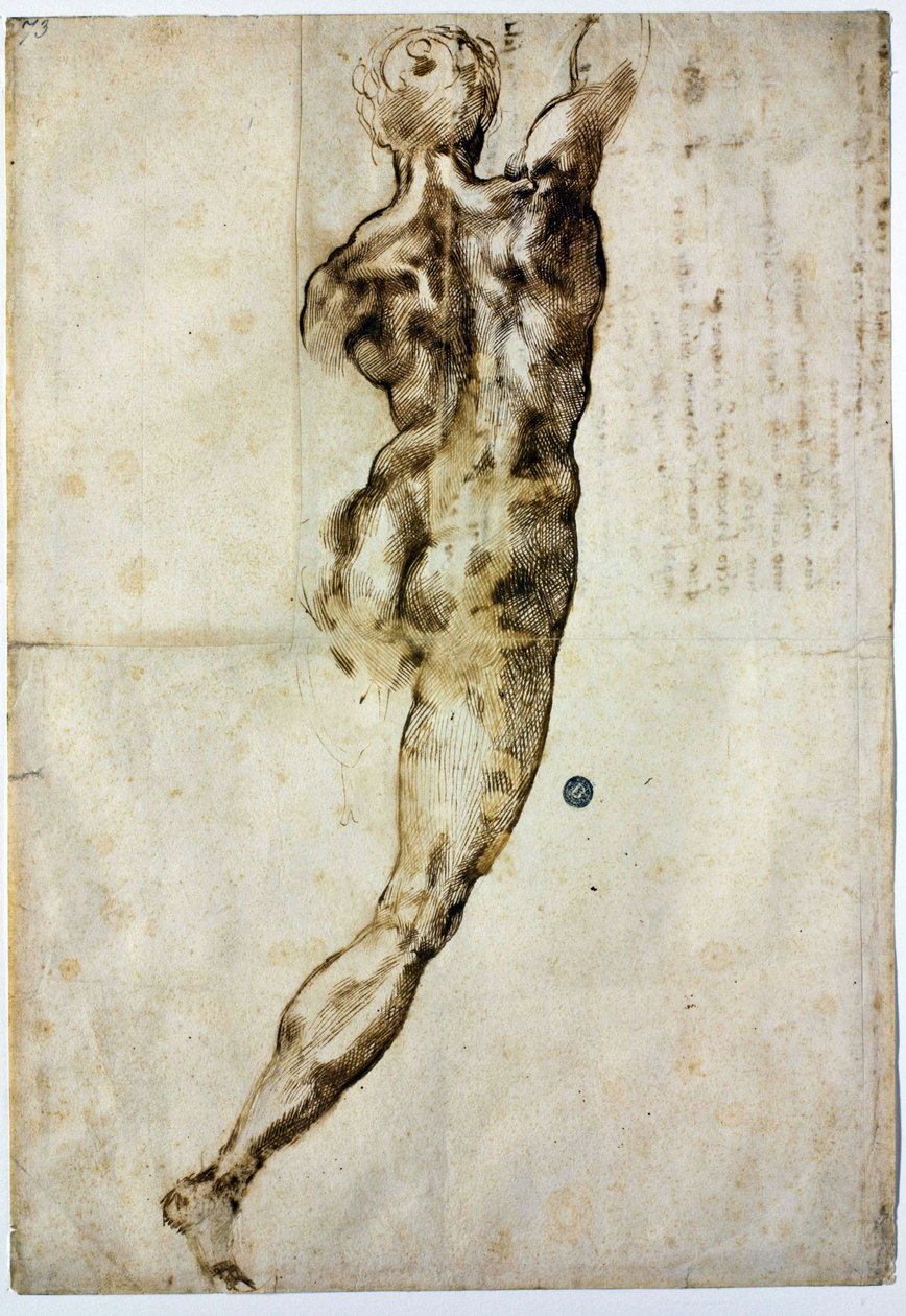 Desnudo de espaldas, c. 1504 de Michelangelo Buonarroti