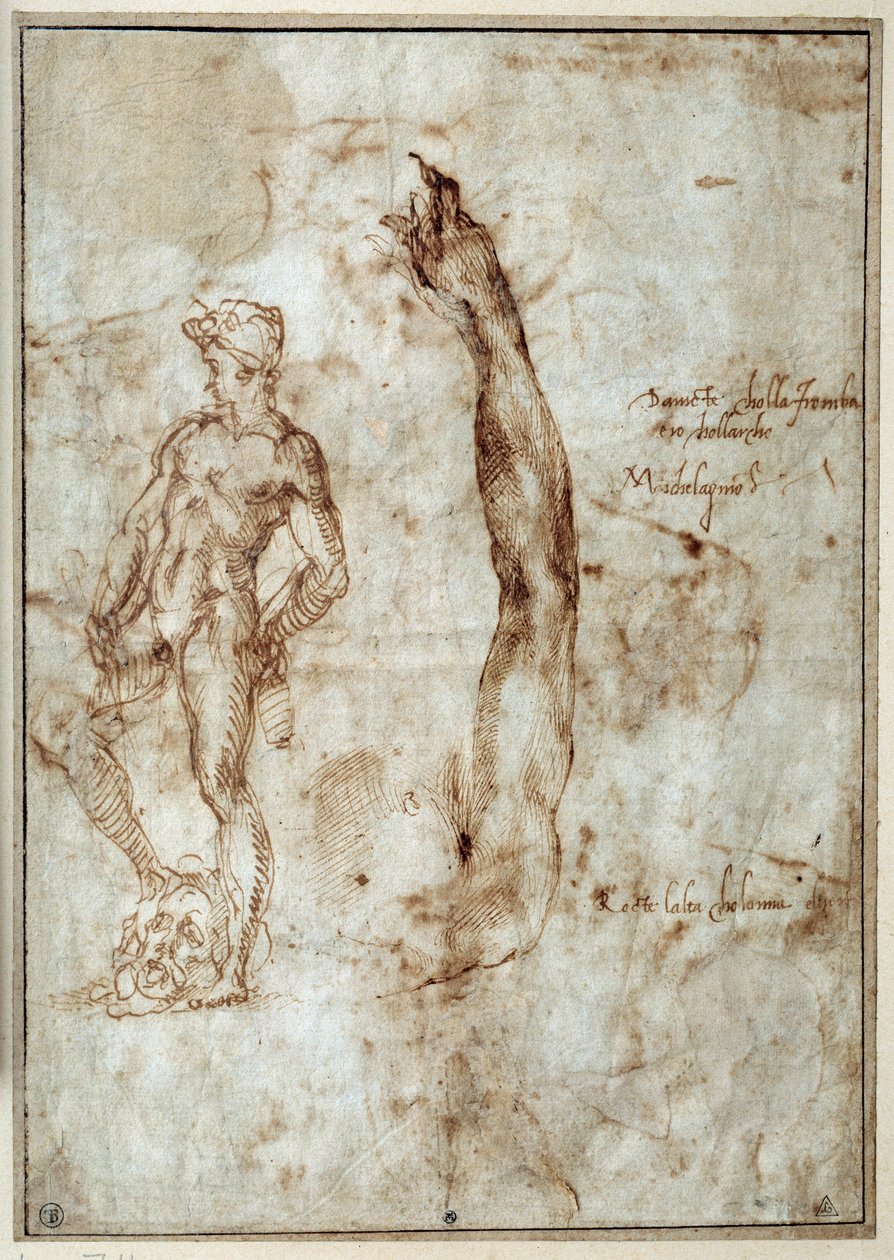 Estudio de desnudo. Michelangelo Buonarroti conocido como Miguel Ángel de Michelangelo Buonarroti