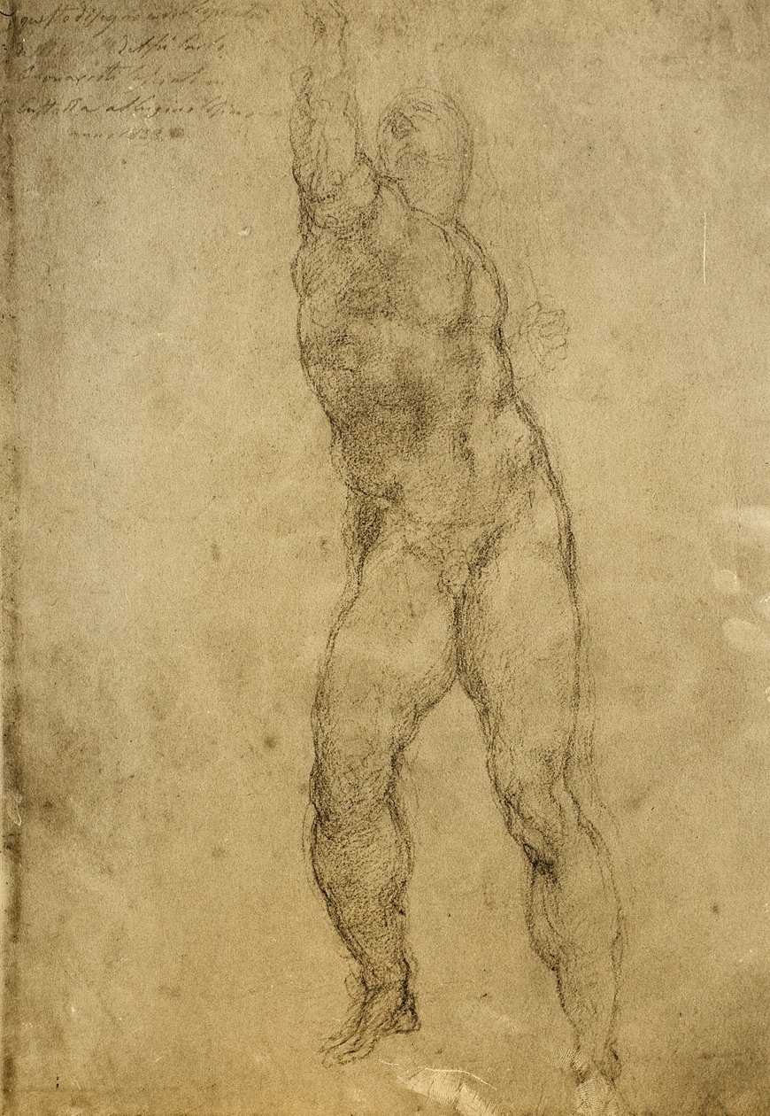 Estudio de desnudo, dibujo de Miguel Ángel. Gallerie dell