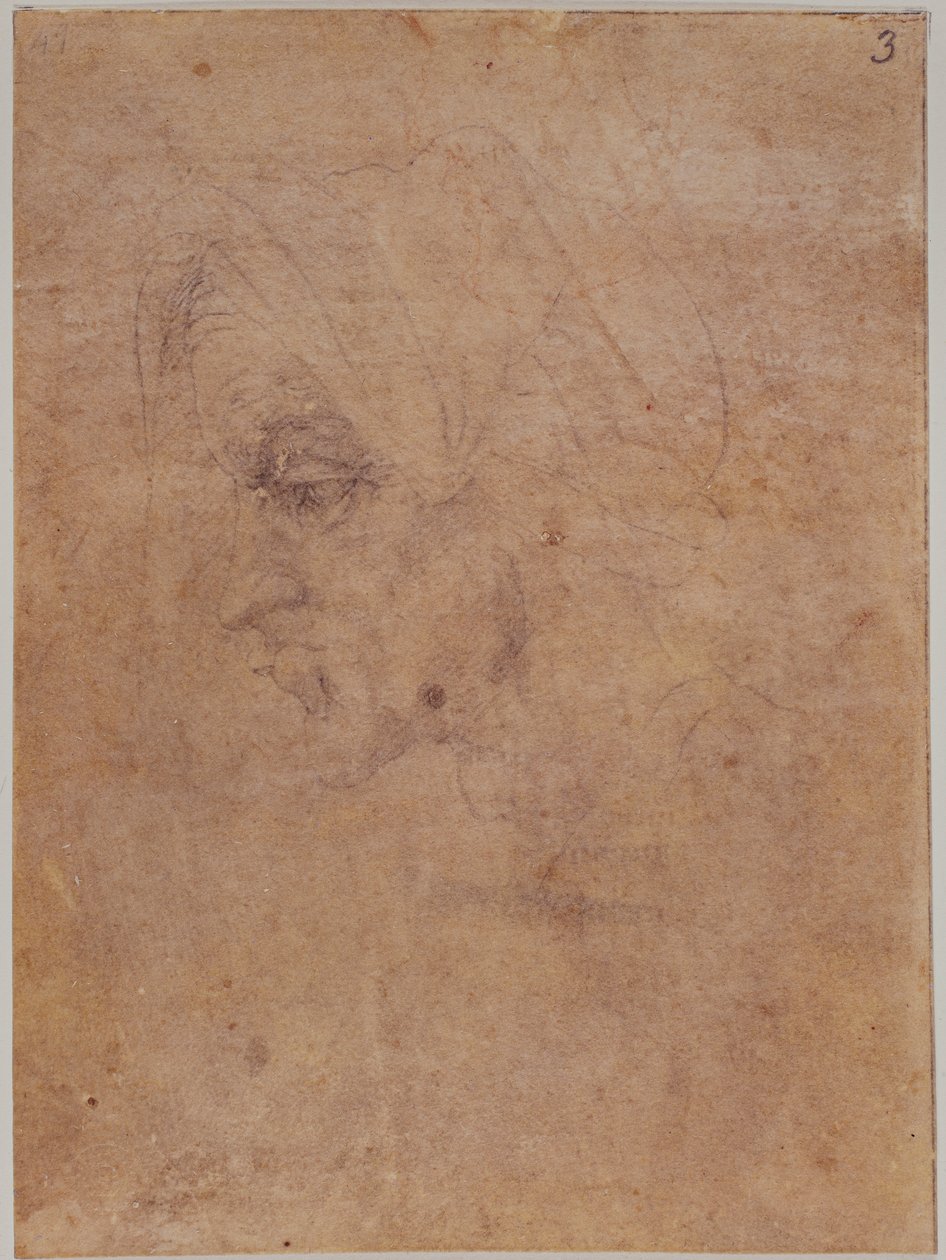 Perfil de una anciana de Michelangelo Buonarroti