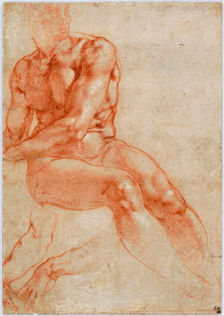 Joven desnudo masculino sentado y dos estudios de brazo, ca 1510-1511 de Michelangelo Buonarroti