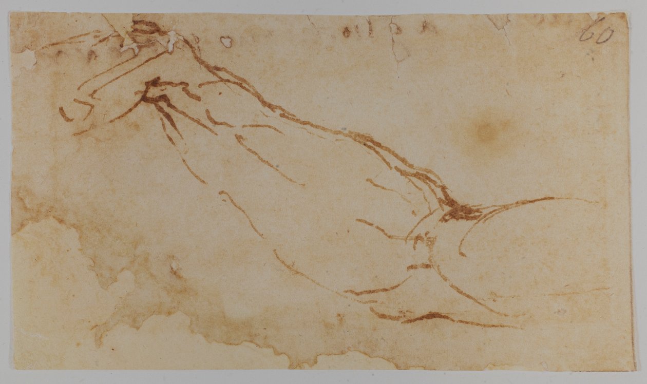 Boceto para el brazo derecho de "Leda", 1528-1530 (dibujo) de Michelangelo Buonarroti