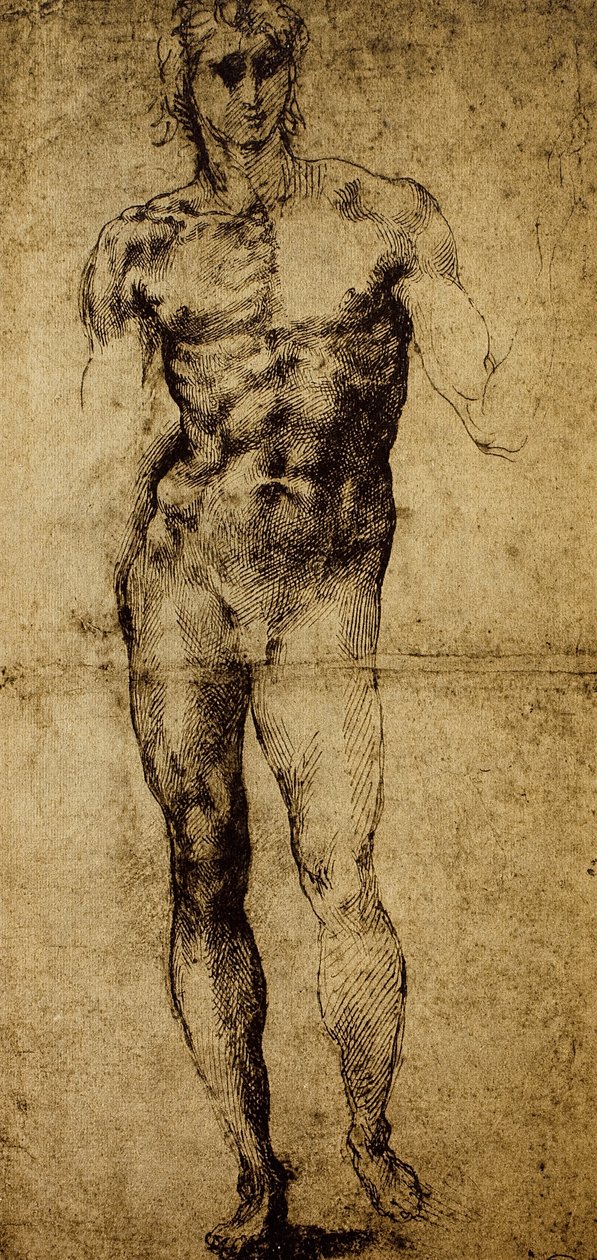 Estudio para un desnudo masculino, Miguel Ángel Buonarroti (1475-1564), dibujo, París, Museo del Louvre de Michelangelo Buonarroti