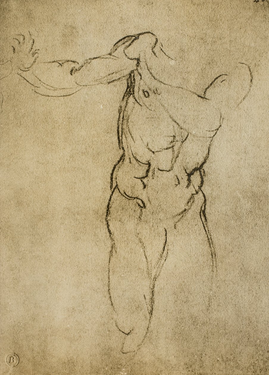 Estudio para un busto masculino de Michelangelo Buonarroti