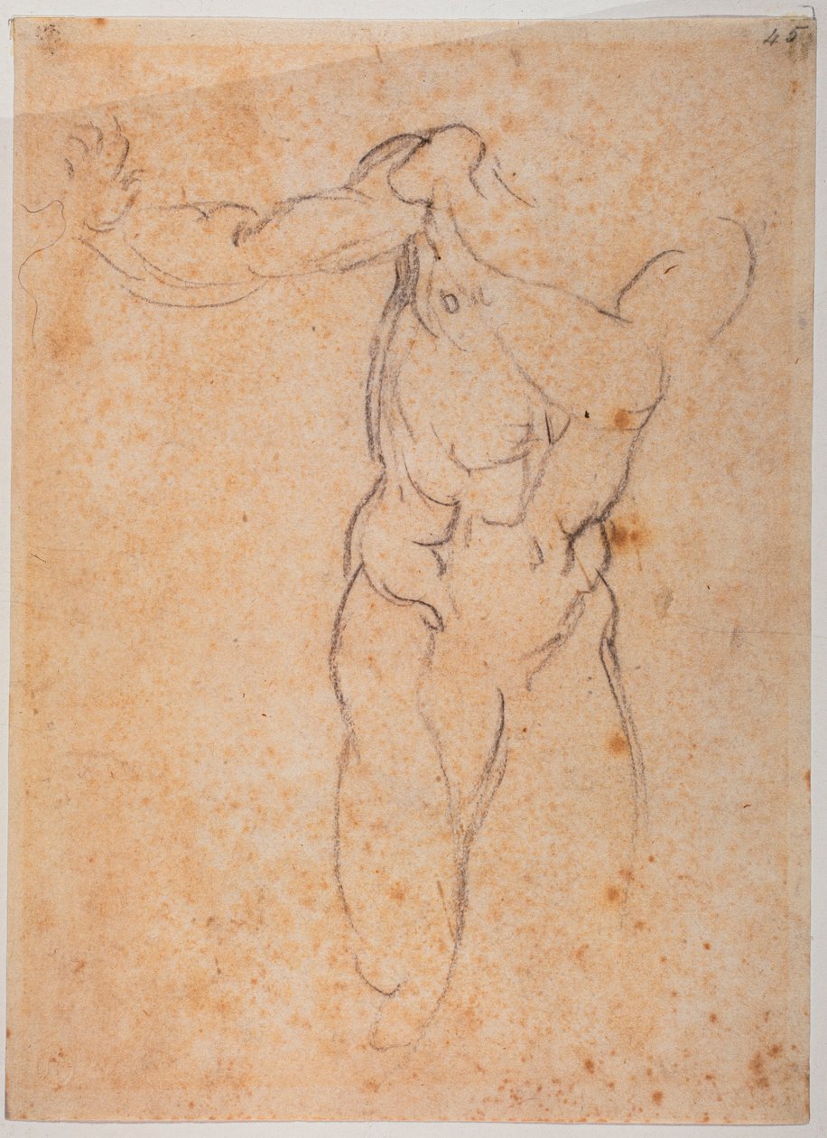 Estudio para el Adán de la "Expulsión de Pardiso" en la Capilla Sixtina de Michelangelo Buonarroti