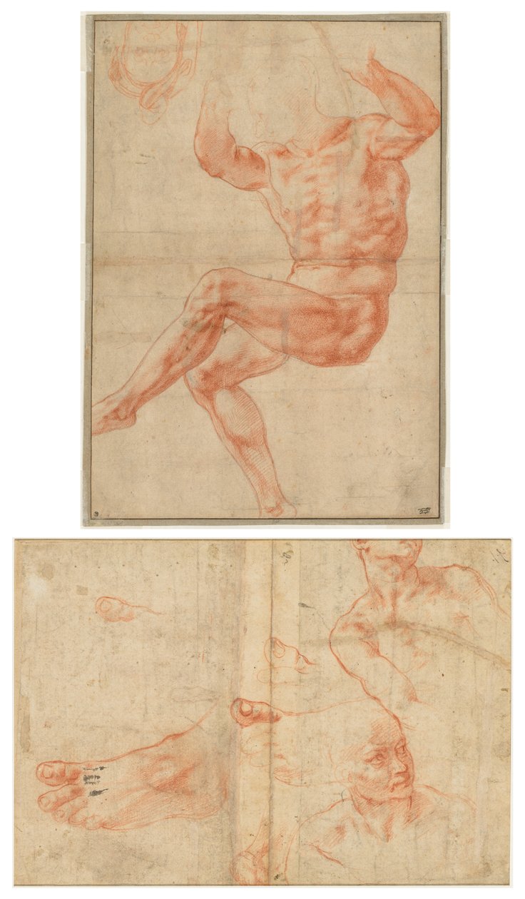 Estudio para el Joven Desnudo sobre el Profeta Daniel (recto); Estudios de Figuras para el Techo de la Capilla Sixtina (verso) de Michelangelo Buonarroti
